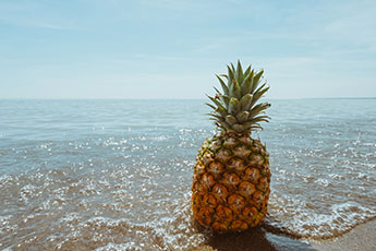 Pineapple for pickling